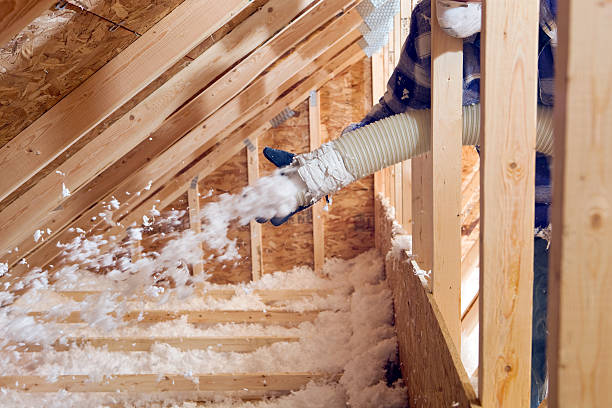 Best Batt and Roll Insulation  in Arbury Hls, IL